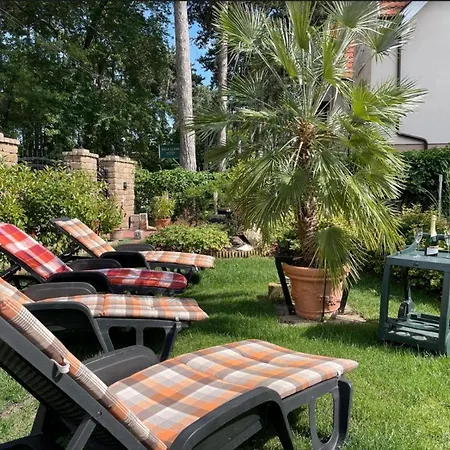 T7 Garden *