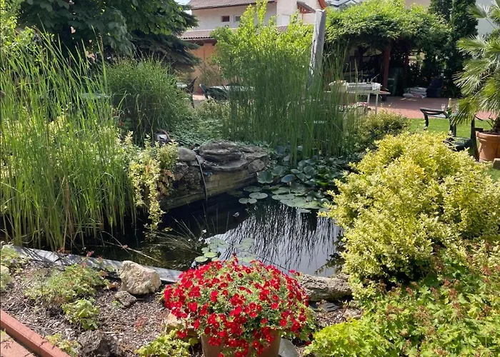 Homestay T7 Garden Guest House *